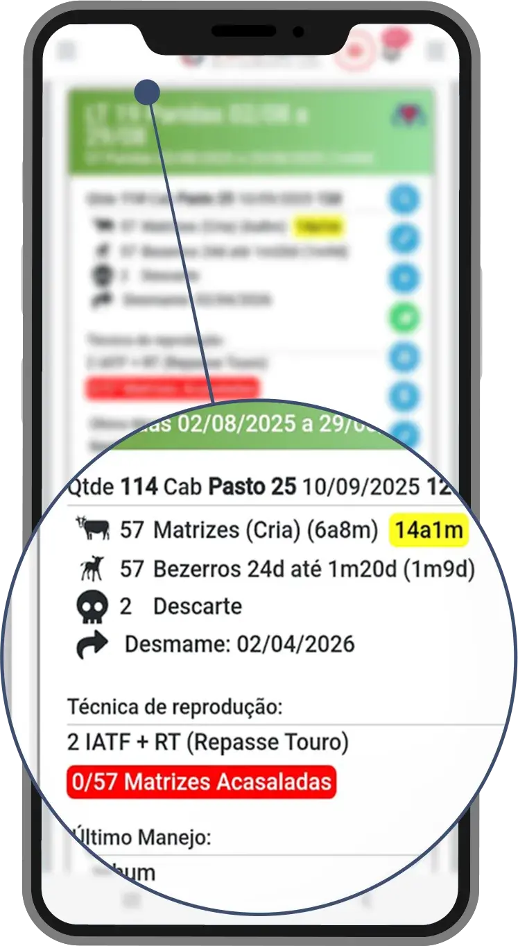 Interface do VSM Agro com controle e monitoramento de lotes de gado por pasto